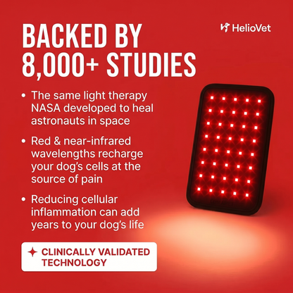 HelioVet™